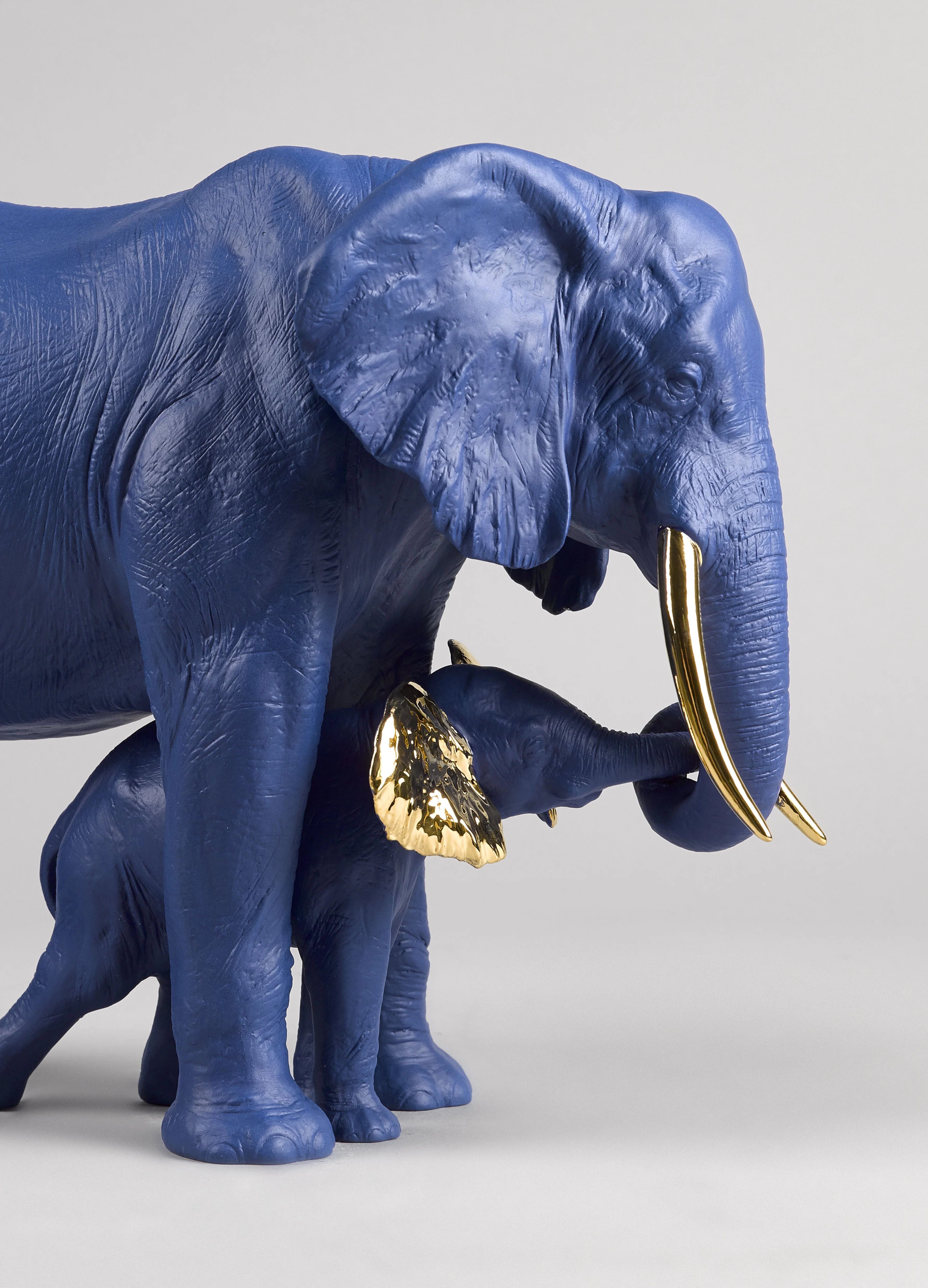 Leading The Way Elephants. Blue-Gold