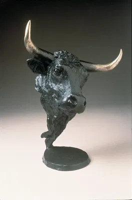 Mark Hopkins - Bull