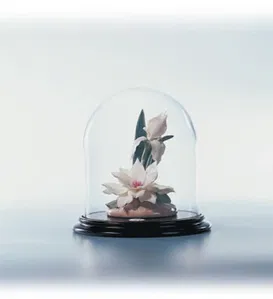 Lladro - Serenade In White Le300 2001-C