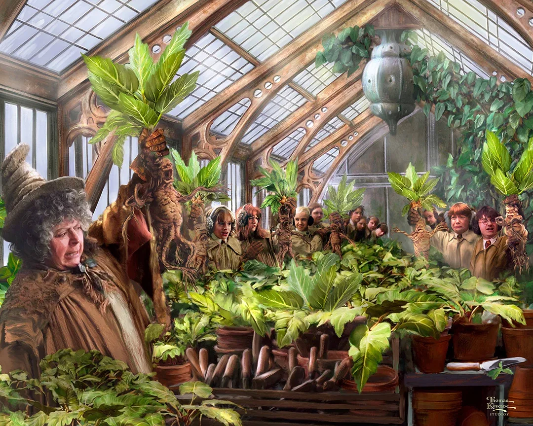 Harry Potter™ Hogwarts™ Greenhouse Wall Art by Thomas Kinkade Studios Gallery Wrap by Thomas Kinkade Studios — Giclee On Canvas