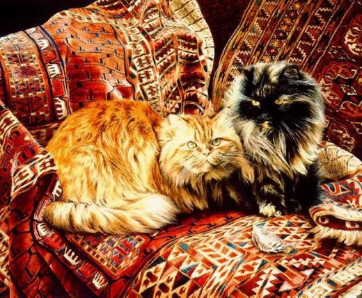 Five Persians Limited Edition Print by Jessica Holm