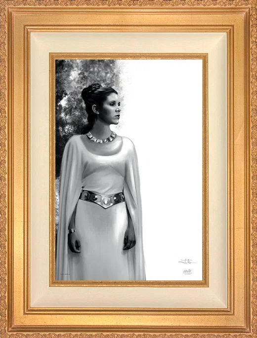 The Daughter - Star Wars: A New Hope™ Wall Art by Jenna McMullins by Jenna McMullins