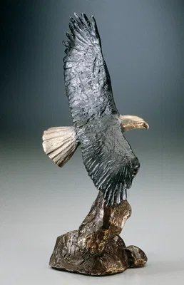 Mark Hopkins - Bald Eagle