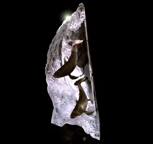 Dan Medina - Songs Of The Seas Artist Proof