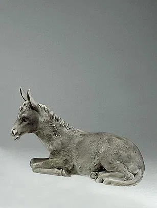 Donkey by Giuseppe Armani