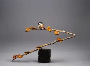 Mark Hopkins - Aspen Cutie