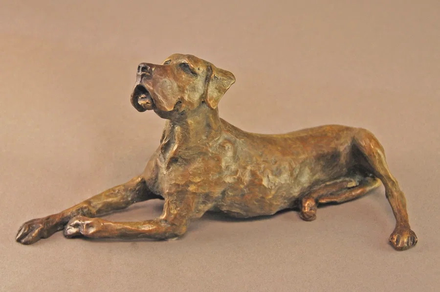 Great Dane II by Mark Hopkins