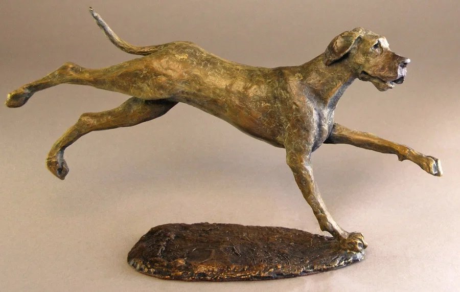 Great Dane by Mark Hopkins