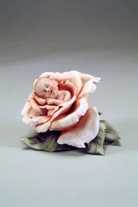 Giuseppe Armani - Little Rose