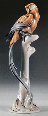 Giuseppe Armani - PARROT