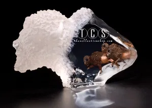 Kitty Cantrell - Thunder Spirit Artist Proof