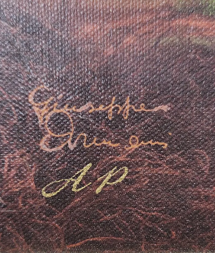 Embrace Canvas Transfer Hand Enhanced  Framed Artist Proof