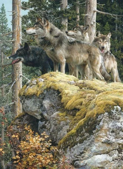 Lookout Tower-Wolves by Carl Benders