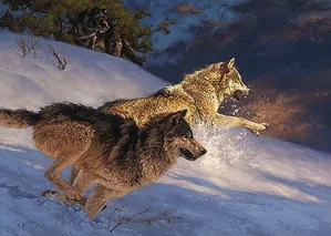 Greg Beecham Gallery