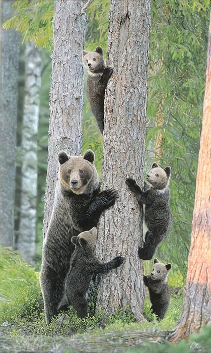 Tree Huggers by John Bye