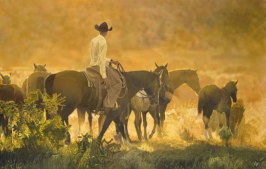 Setting Sun by John Bye