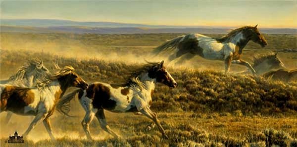 Unbridled Spirit by Nancy Glazier by Nancy Glazier — Canvas