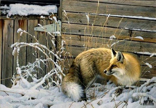 Shed Door Fox by Nancy Glazier by Nancy Glazier