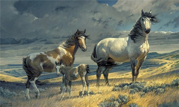 Windy Ridge by Nancy Glazier by Nancy Glazier — Giclee on Canvas