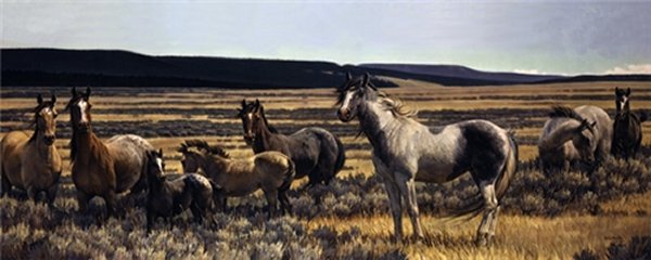 Amazing Grays V by Nancy Glazier by Nancy Glazier — Canvas