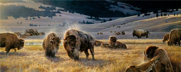 The Hidden Valley by Nancy Glazier by Nancy Glazier — Canvas