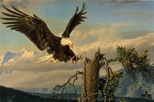 Power Landing by Nancy Glazier by Nancy Glazier — Canvas