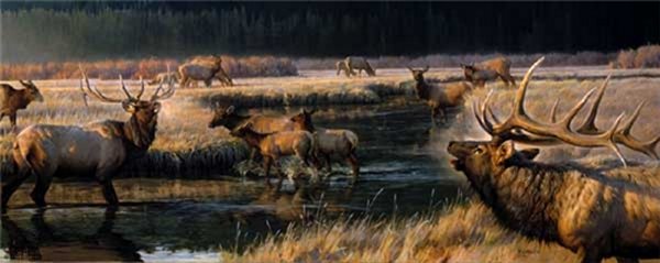 Morning Frost by Nancy Glazier by Nancy Glazier — Canvas