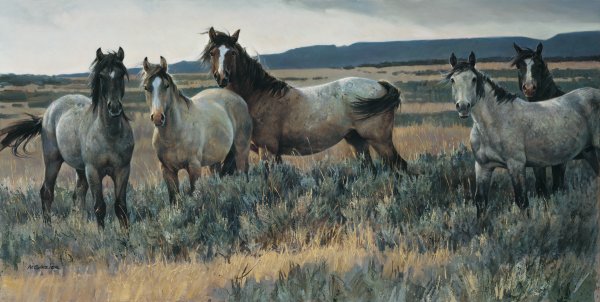 Amazing Grays II by Nancy Glazier by Nancy Glazier — Canvas