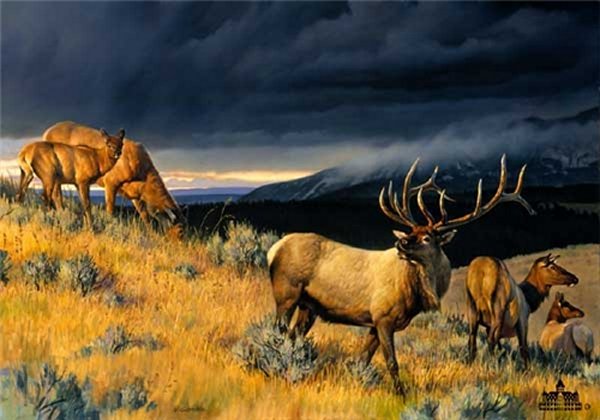 Farewell to Fall II by Nancy Glazier by Nancy Glazier — Canvas