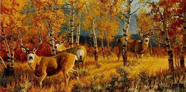 Morning Gold by Nancy Glazier by Nancy Glazier — Canvas