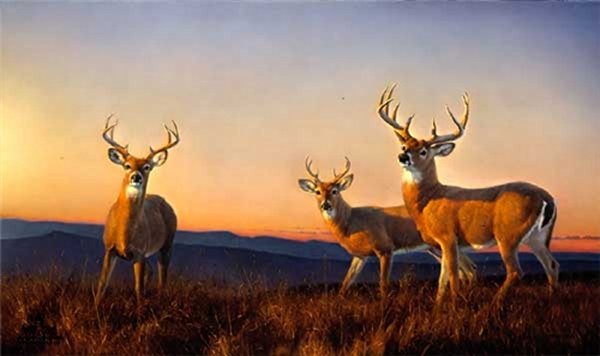 Sundown by Nancy Glazier by Nancy Glazier — Canvas