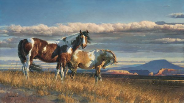 The Painted Desert by Nancy Glazier by Nancy Glazier — Canvas