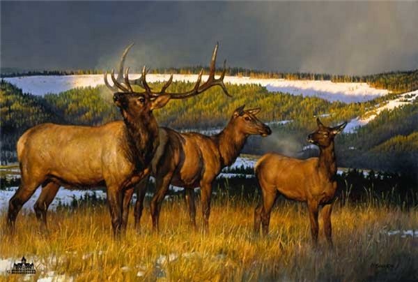 Prelude by Nancy Glazier by Nancy Glazier — Canvas