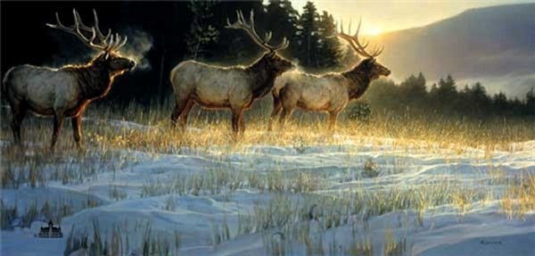 Elk Ridge by Nancy Glazier by Nancy Glazier — Canvas