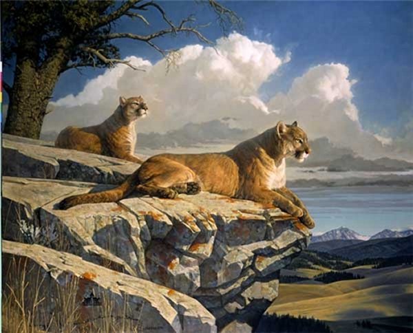The Outlook by Nancy Glazier by Nancy Glazier — Canvas