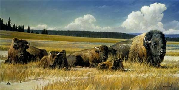 American Pride by Nancy Glazier by Nancy Glazier — Canvas