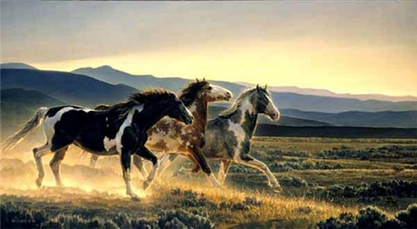 Three Amigos by Nancy Glazier by Nancy Glazier — Canvas