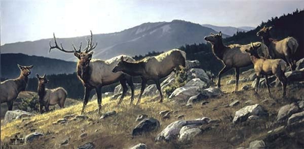 High Country by Nancy Glazier by Nancy Glazier — Canvas