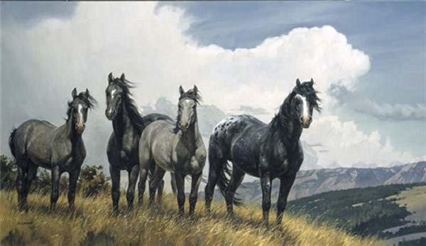 Amazing Grays IV by Nancy Glazier by Nancy Glazier — Canvas
