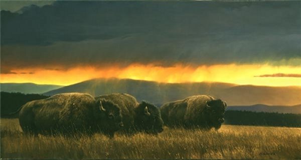 Western Skies by Nancy Glazier by Nancy Glazier — Canvas