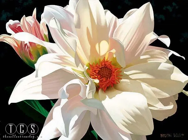 Brian Davis - Dahlia Duet (new) (platinum)