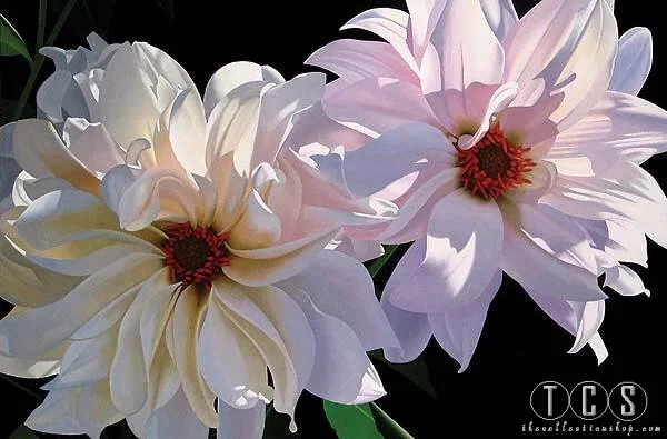 Delightful Dahlias by Brian Davis