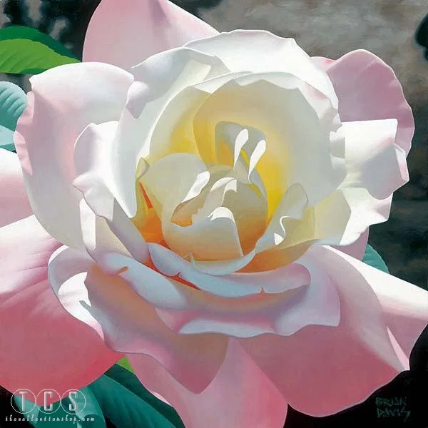Brian Davis artwork