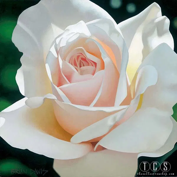 French Lace Aglow by Brian Davis