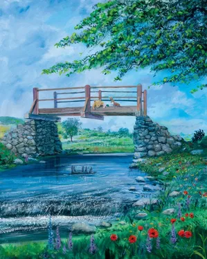 Peter / Harrison Ellenshaw-Spring - From Disney Winnie the Pooh