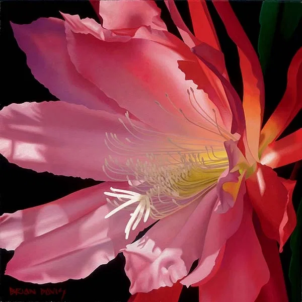Crimson Fire by Brian Davis