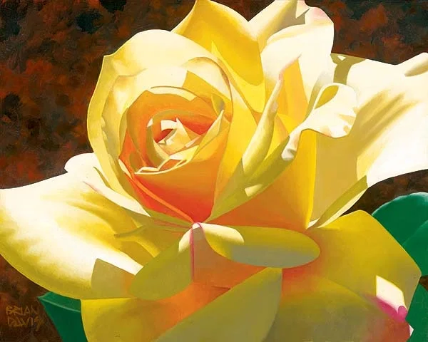 Golden Solo Rose by Brian Davis