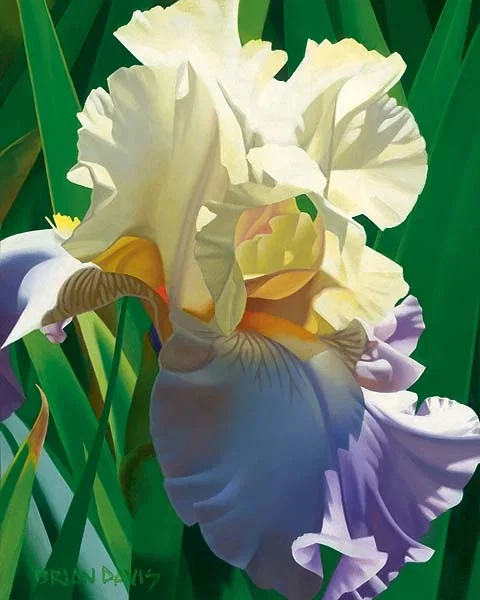 Kauais Tropical Beauty by Brian Davis