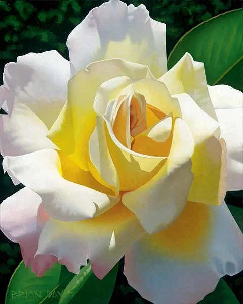 Loves Rose by Brian Davis