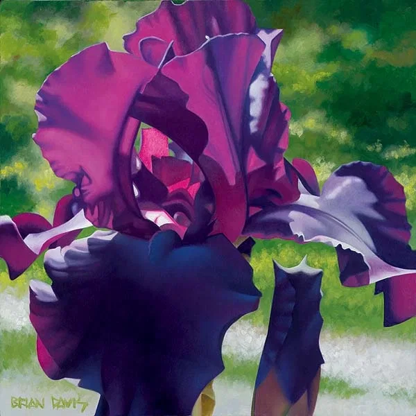 Passionate Purple Iris by Brian Davis